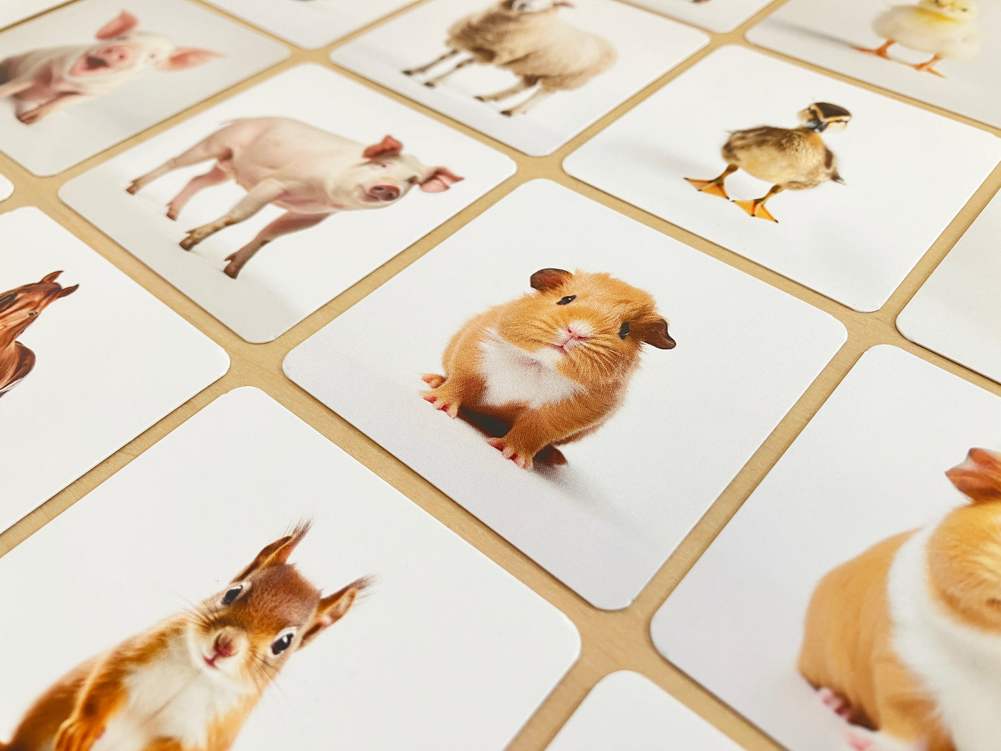 Montessori mama and baby animals pairs, close up on baby hamster