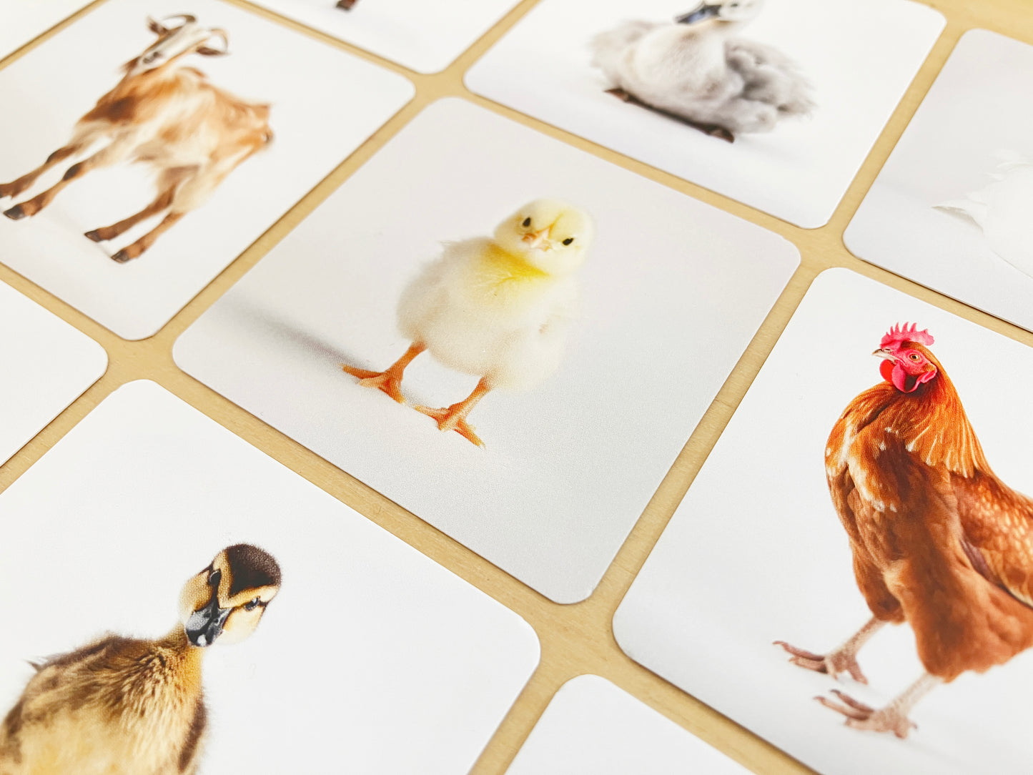 Montessori mama and baby animals pairs, close-up chick