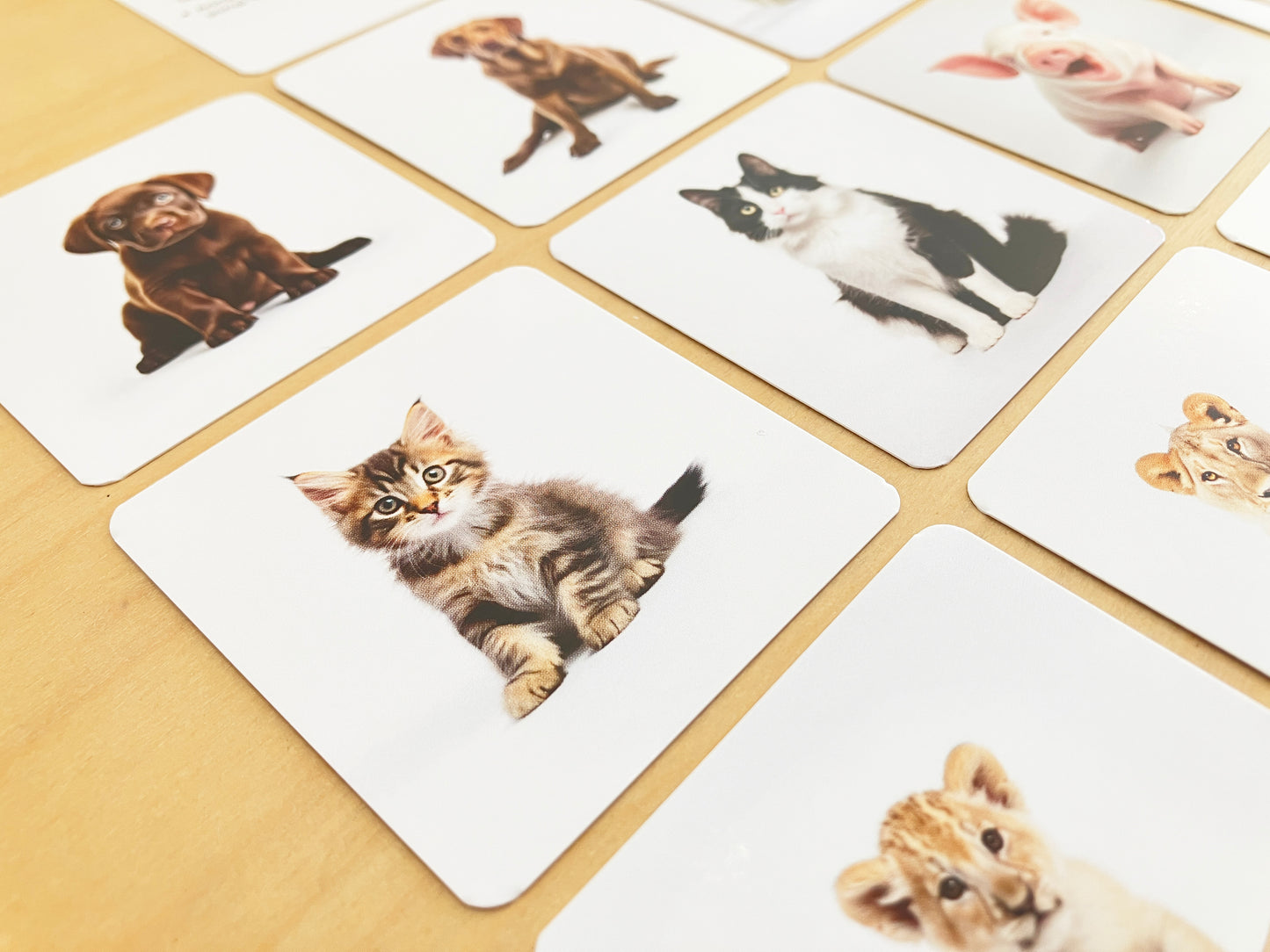 Montessori mama and baby animals pairs, close-up on cat
