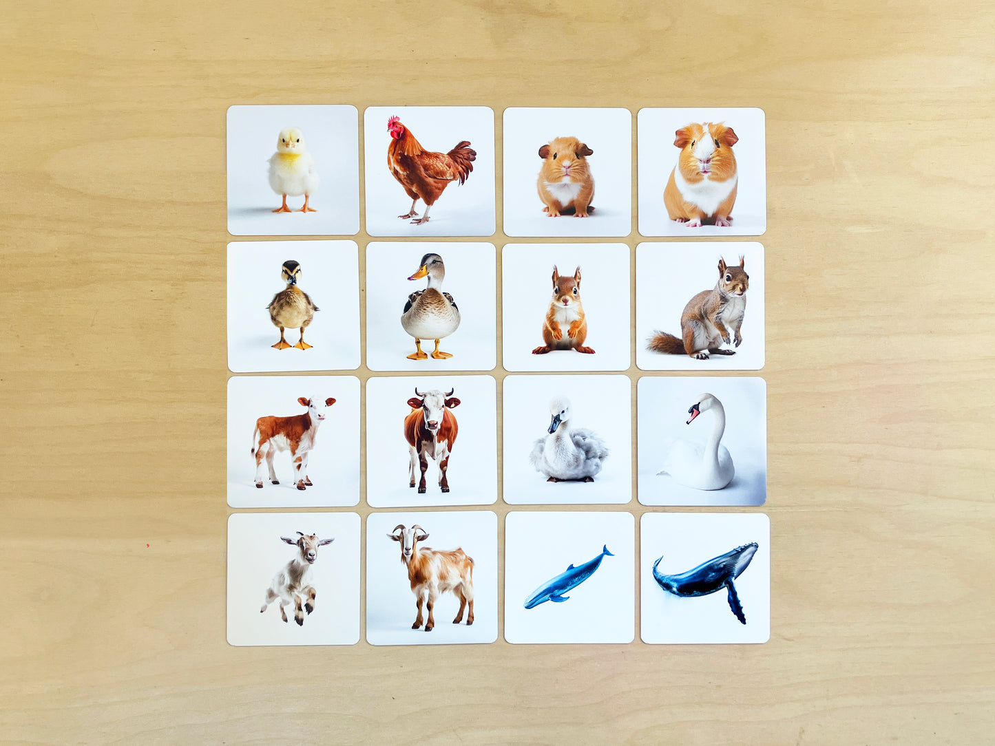 Montessori mama and baby animals pairs, two of two