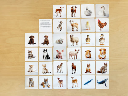 Montessori mama and baby animals pairs 32 cards