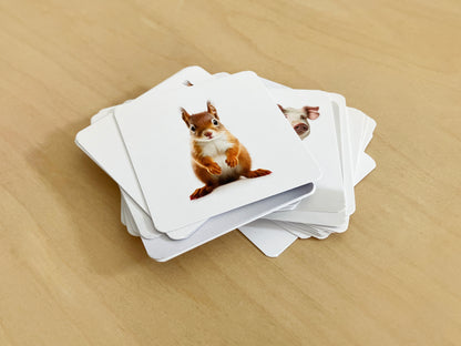Montessori mama and baby animals pairs, pile of cards with squirrel on top