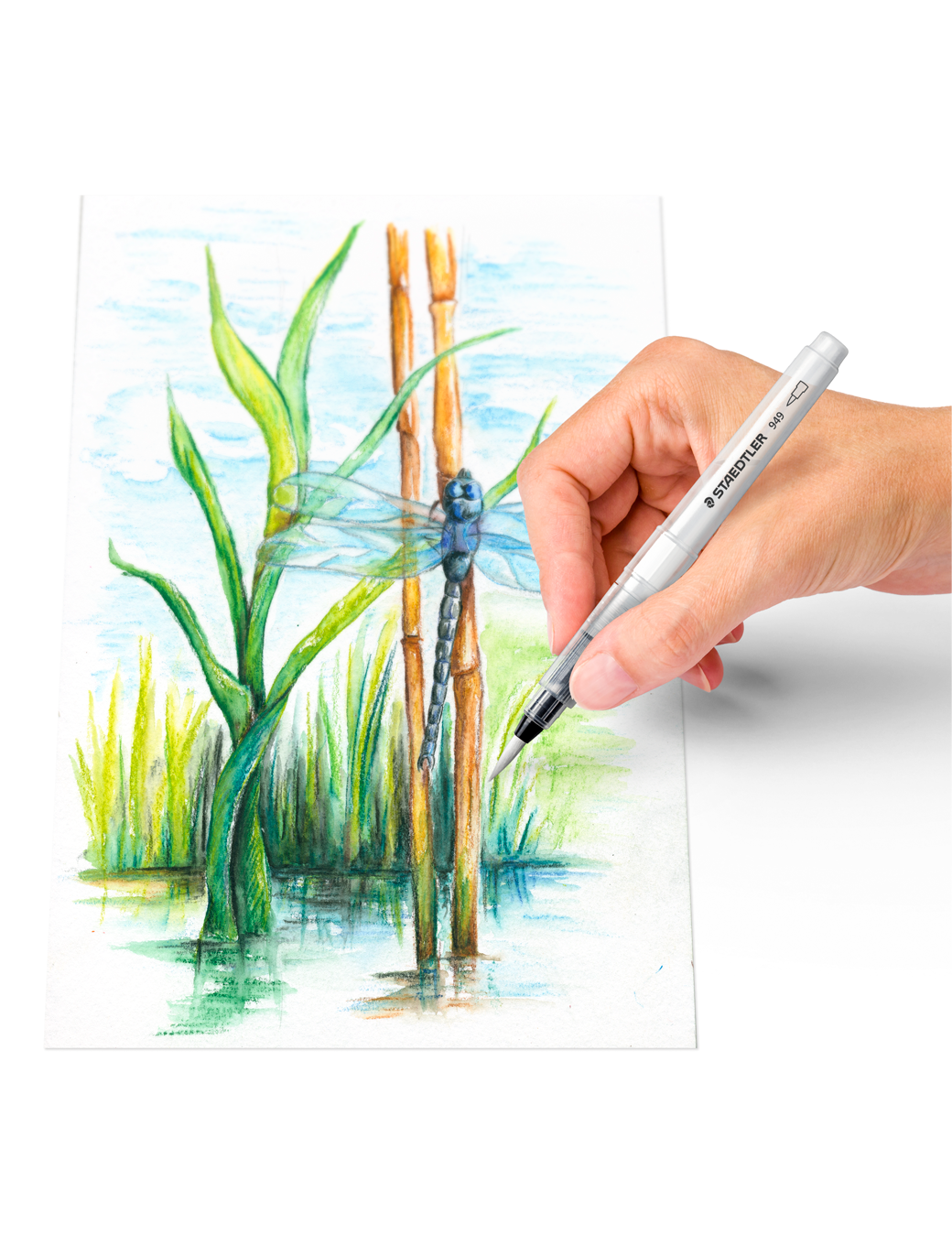 STAEDTLER® 223, watercolor crayons, used with water brush
